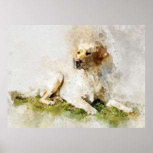 Póster Retrato de acuarela de perro recuperador de labrad