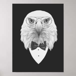 Póster Retrato de águila elegante