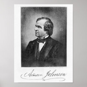 Póster Retrato de Andrew Johnson