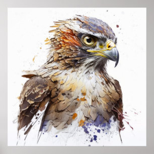 Póster Retrato de aves en el Halcón Pintura de animales s