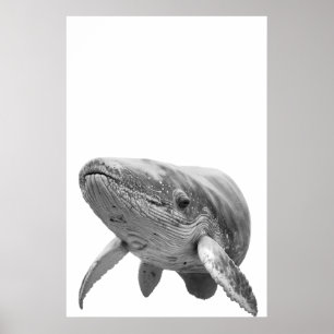 Póster Retrato de ballena moderna negro blanco