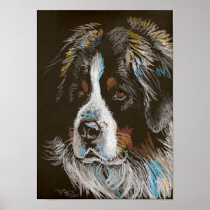 Póster Retrato de Bernese Mountain Dog Pastel