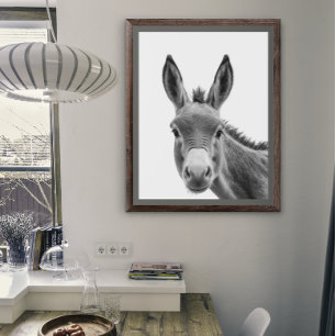 Póster Retrato de burro Cabeza negro blanco    