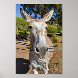 Póster Retrato de burro marrón divertido