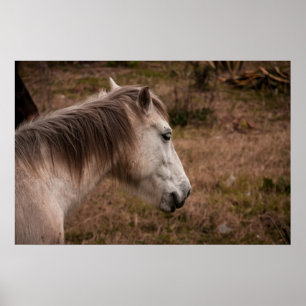 Póster Retrato de caballo