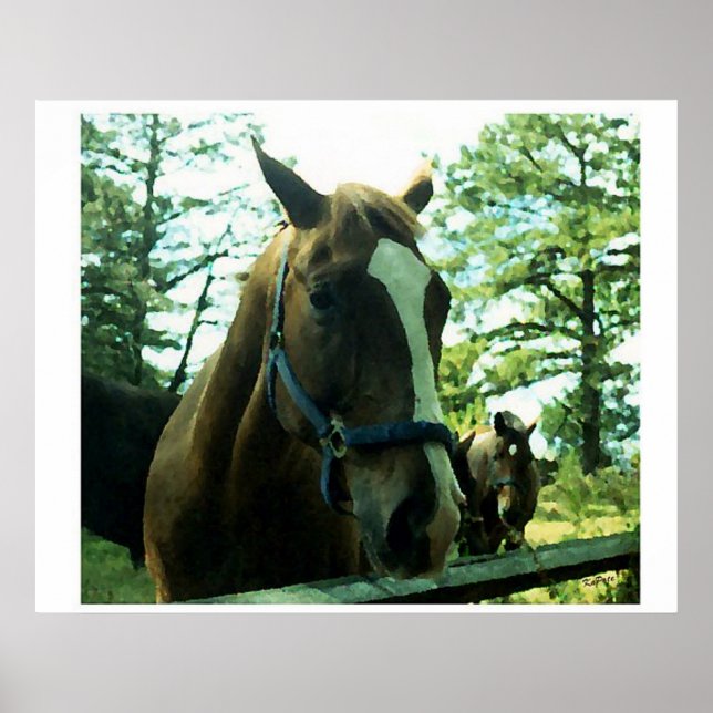 Póster Retrato de caballo (Frente)