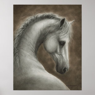Póster Retrato de caballo blanco pintado a mano