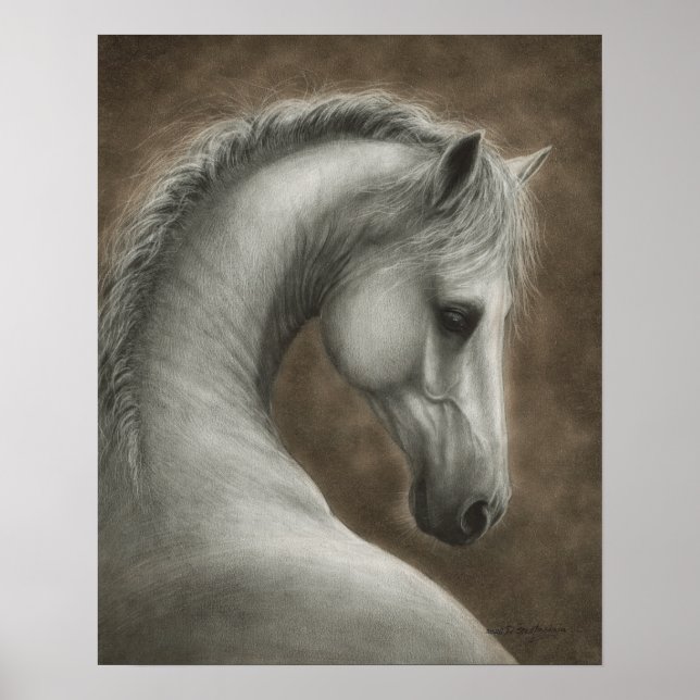 Póster Retrato de caballo blanco pintado a mano (Frente)
