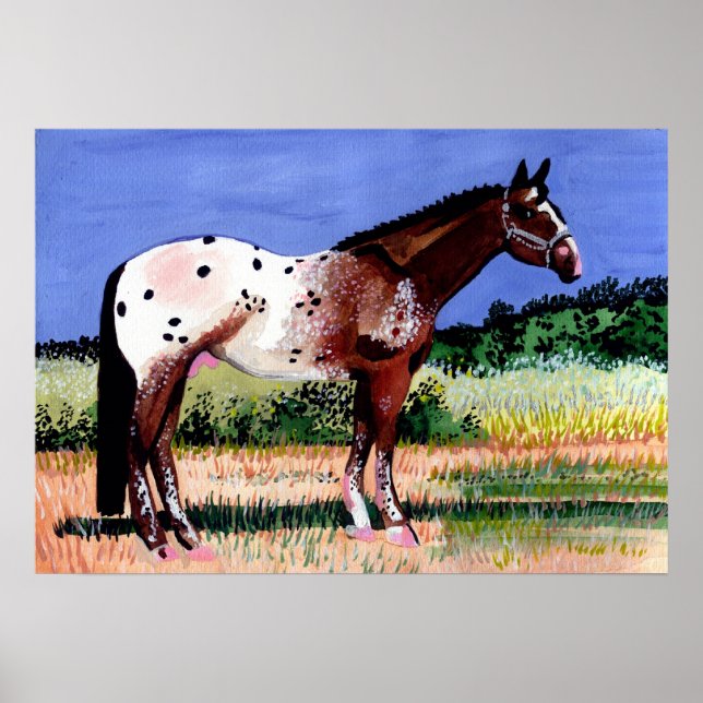 Póster Retrato de Caballo de Appaloosa (Frente)
