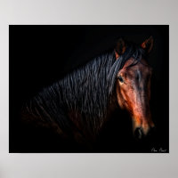 Retrato de caballo VII
