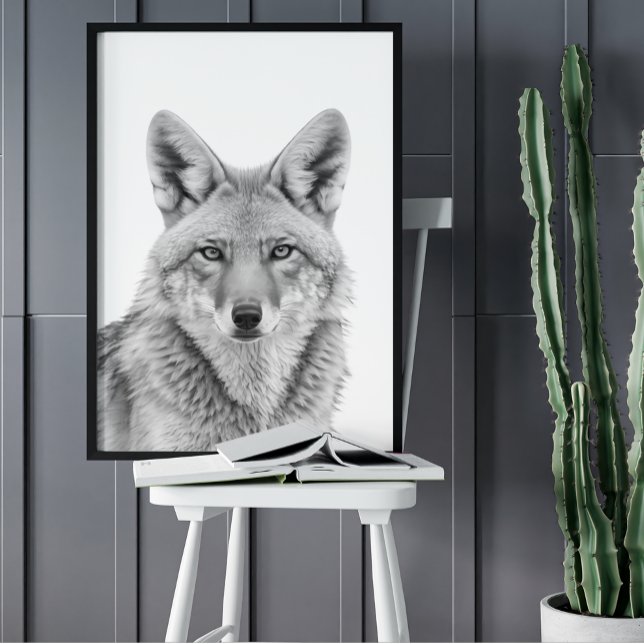 Póster Retrato de cabeza de coyote blanco negro (Subido por el creador)