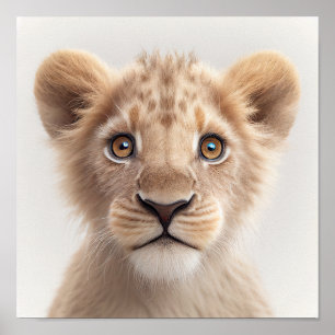 Póster Retrato de cachorro de león adorable   Cuadrado 1: