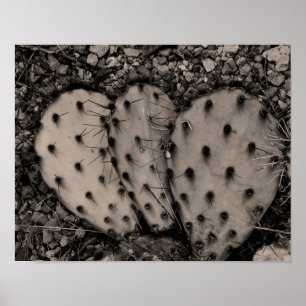 Póster Retrato de Cactus Sepia