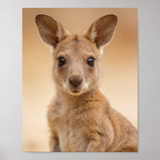Póster Retrato de canguro bebé - Pared de animal de guard