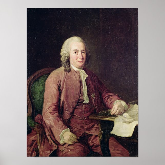 Póster Retrato de Carl von Linnaeus (Frente)