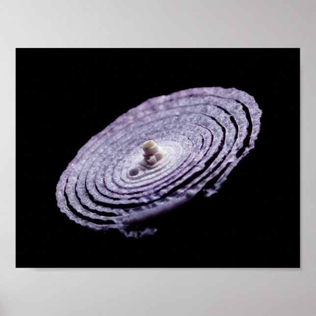 Póster Retrato de cebolla roja (Frente)