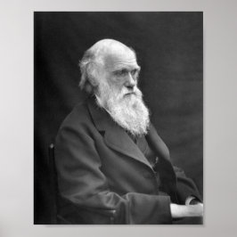 Póster Retrato de Charles Darwin - 1874