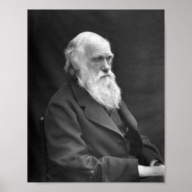 Póster Retrato de Charles Darwin - 1874 (Frente)