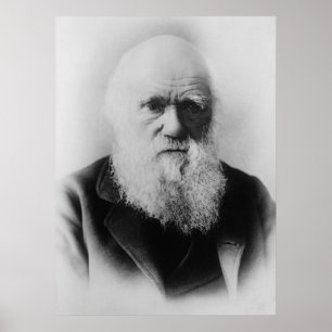 Póster Retrato de Charles Darwin por Elliott y Fry