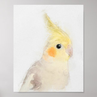 Póster Retrato de Cockatiel
