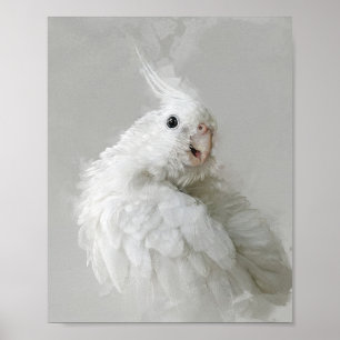 Póster Retrato de Cockatiel 012