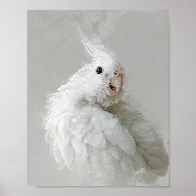 Póster Retrato de Cockatiel 012 (Frente)