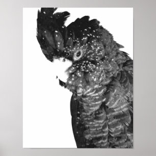 Póster Retrato de Cockatoo en blanco y negro