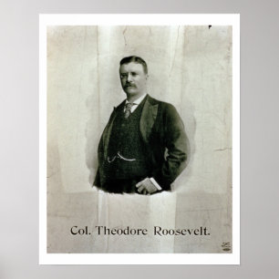 Póster Retrato de coronel Theodore Roosevelt (litho)