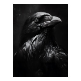 Póster Retrato de Cuervo Monocromo