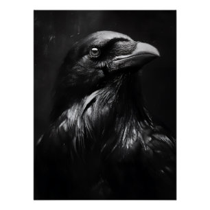 Póster Retrato de Cuervo Monocromo