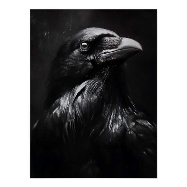 Póster Retrato de Cuervo Monocromo (Anverso)