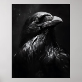 Póster Retrato de Cuervo Monocromo