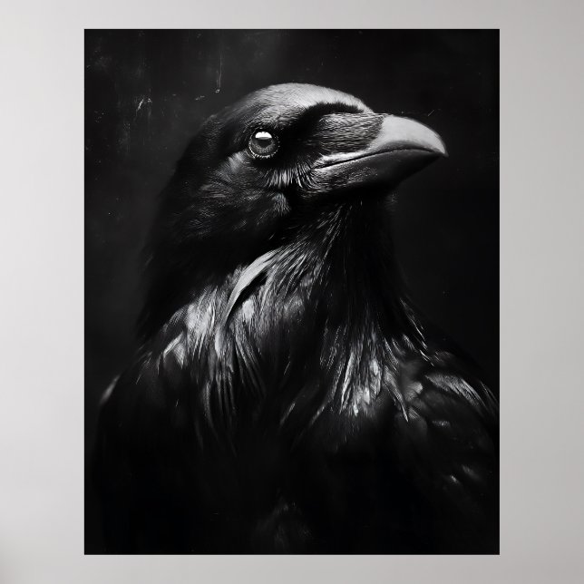 Póster Retrato de Cuervo Monocromo (Frente)