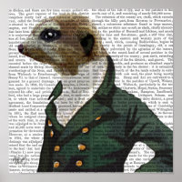Retrato de Dandy Meerkat