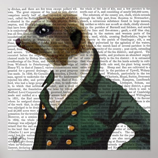 Póster Retrato de Dandy Meerkat (Frente)