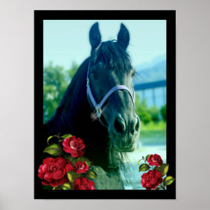 Póster Retrato de DIAMOND - Poster