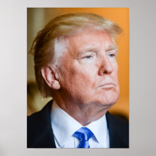 Póster Retrato de Donald Trump