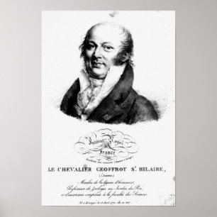 Póster Retrato de Etienne Geoffroy Santo-Hilario