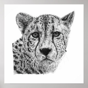 Póster Retrato de fauna silvestre de guepardo dibujado a
