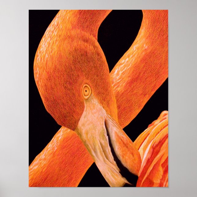 Póster Retrato de Flamenco (Frente)