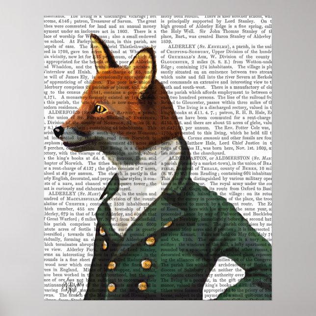 Póster Retrato de Fox (Frente)