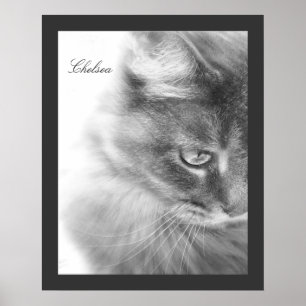 Póster Retrato de gato "Chelsea"