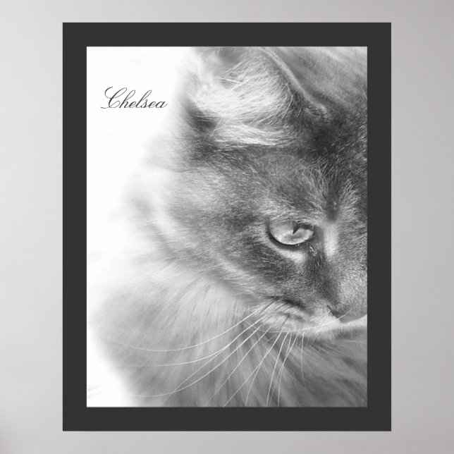 Póster Retrato de gato "Chelsea" (Frente)
