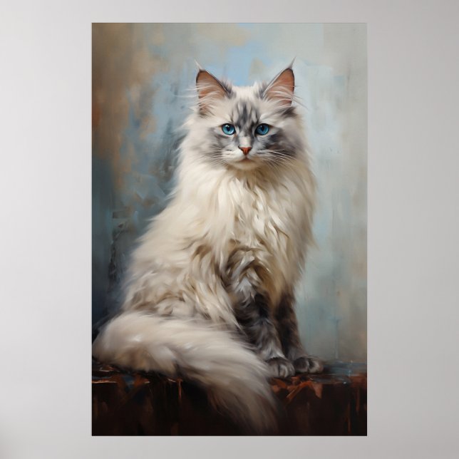 Póster Retrato de gato de Ragdoll (Frente)