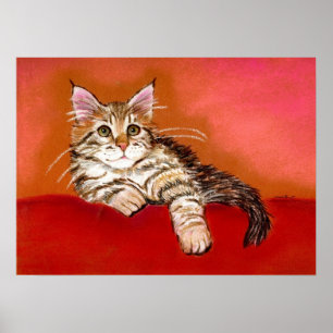 Póster Retrato de gato Maine Coon Kitten