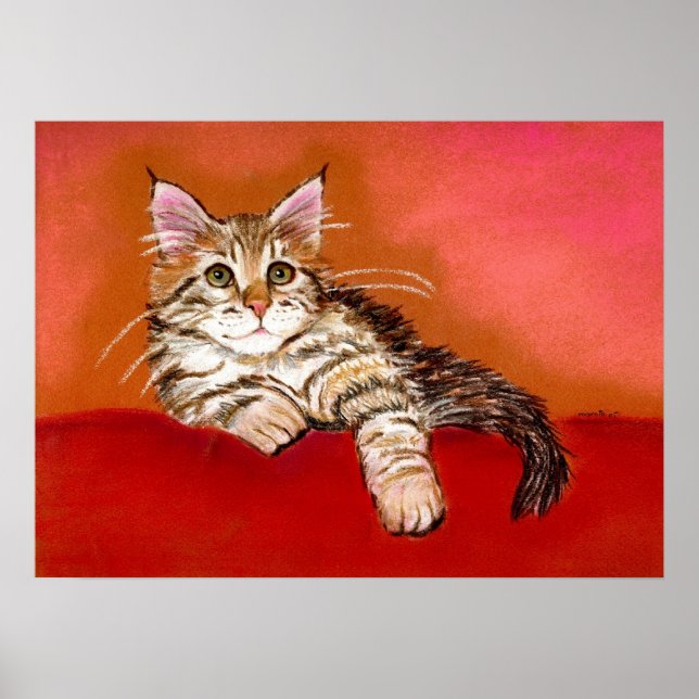 Póster Retrato de gato Maine Coon Kitten (Frente)