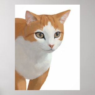 Póster Retrato de gato naranja y blanco