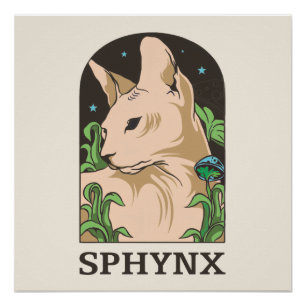 Póster Retrato de gato Sphynx dibujado a mano