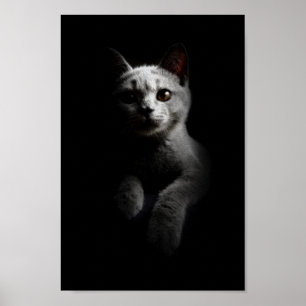 Póster Retrato de gatos/gatitos/gatitos