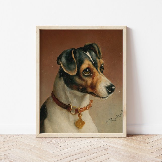 Póster Retrato de Jack Russel Terrier | Carl Reichert (Subido por el creador)